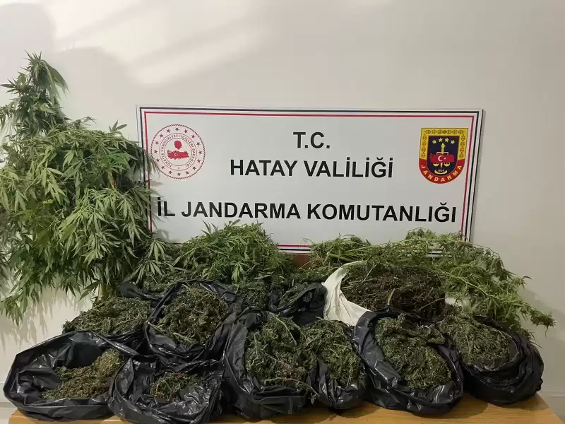 Evlerinde Uyuşturucu Bulunan 2 Zanlı Yakalandı