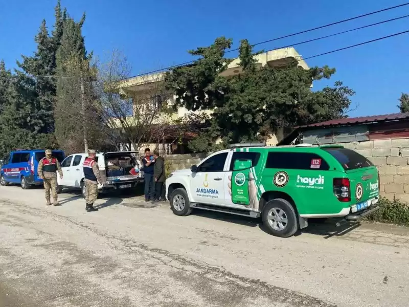 Sahipsiz Köpeği Tüfekle Yaralayan şüpheli Yakalandı