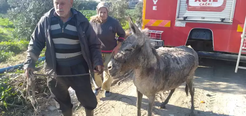 Sulama Kanalına Düşen Eşeği Itfaiye Kurtardı