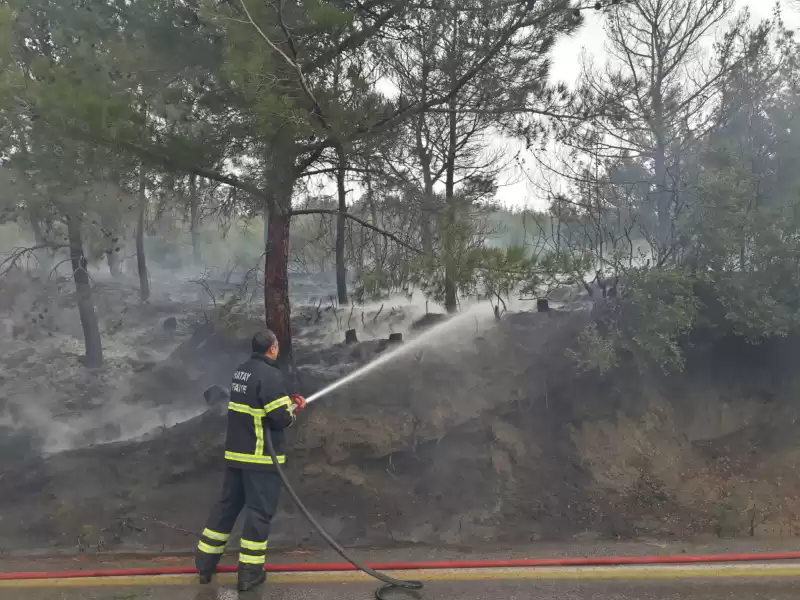 Arsuz'da çıkan Orman Yangını Kontrol Altına Alındı