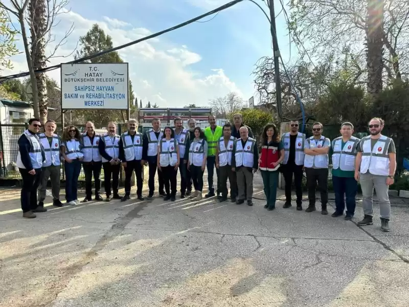 Türk Veteriner Hekimler Birliği Hatay Da