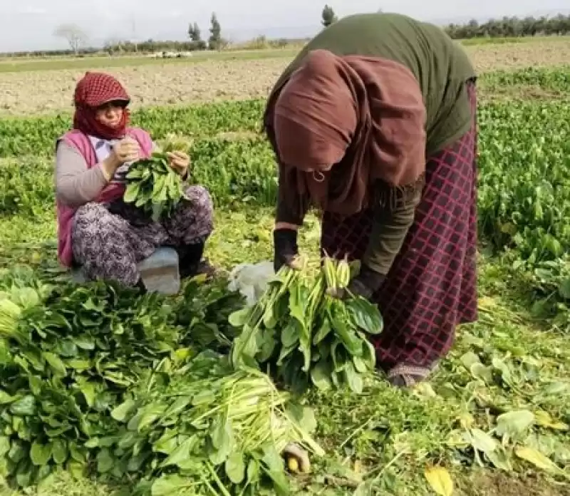 Depremzede çiftçilerle Dayanışma Büyüyor