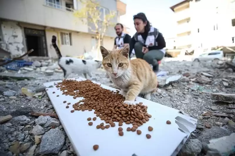 Depremden Etkilenen Hatay'da 