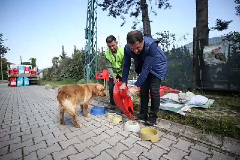 Depremden Etkilenen Hatay'da 