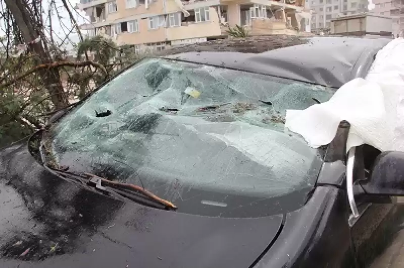 Hatay'da üzerine Ağaç Devrilen Otomobilden Yara Almadan çıktılar