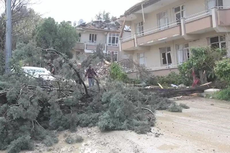 Hatay'da üzerine Ağaç Devrilen Otomobilden Yara Almadan çıktılar