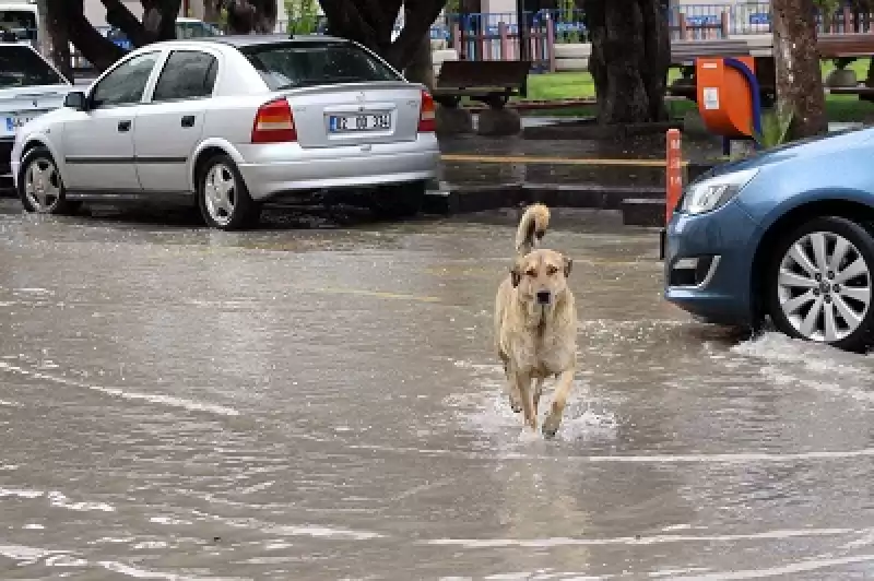 İskenderun'da Lodos Ve Sağanak Hayatı Olumsuz Etkiledi 