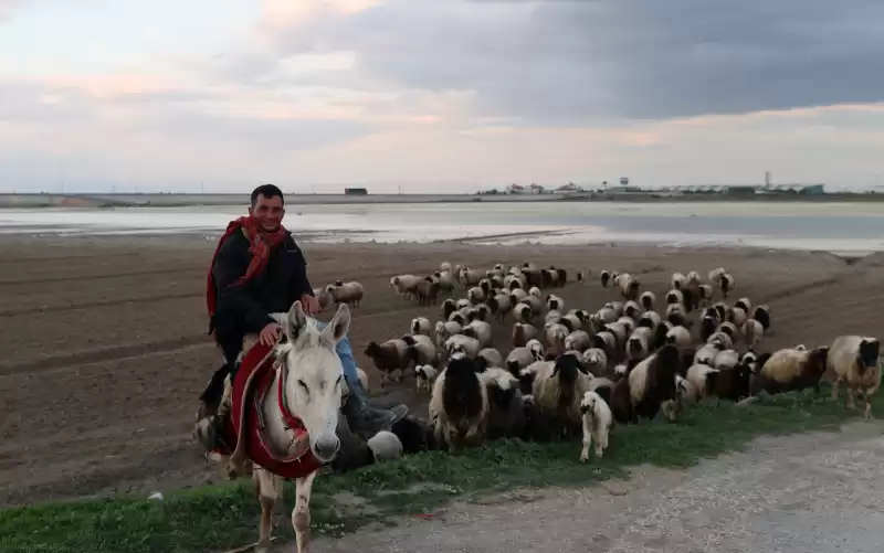 Hatay'da Besiciler Işlerinin Başında