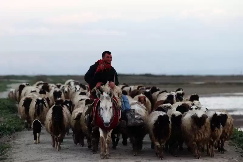 Hatay'da Besiciler Işlerinin Başında