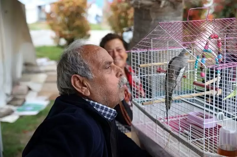 Depremzede Aileler, çadır Kentte Muhabbet Kuşu Ve Papağanla Ilgilenerek Vakit Geçiriyor