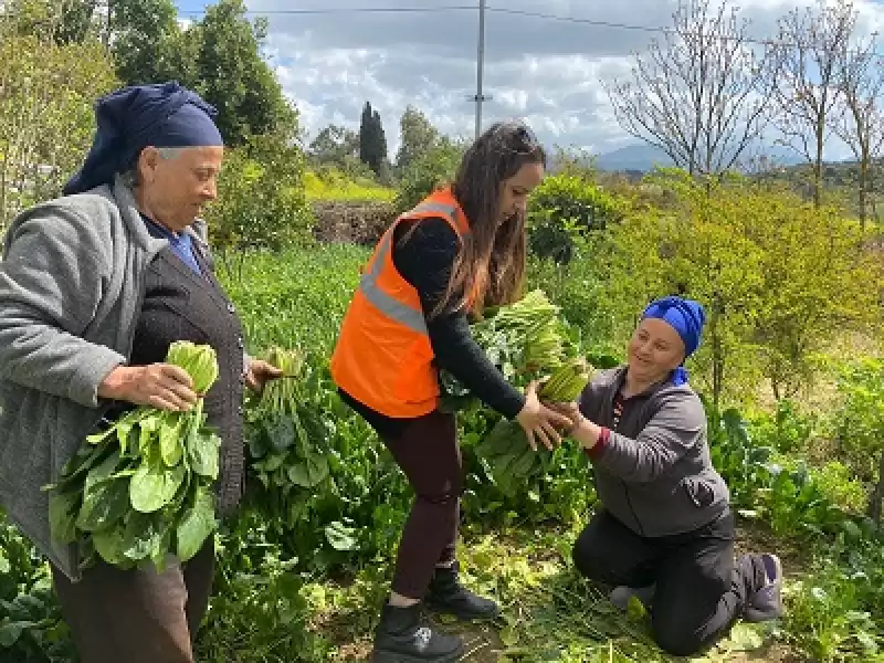 Tarıma Destek Ol Hatay Projesi Hayata Geçirildi