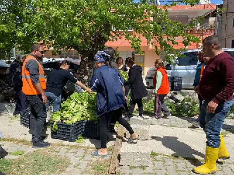 Tarıma Destek Ol Hatay Projesi Hayata Geçirildi