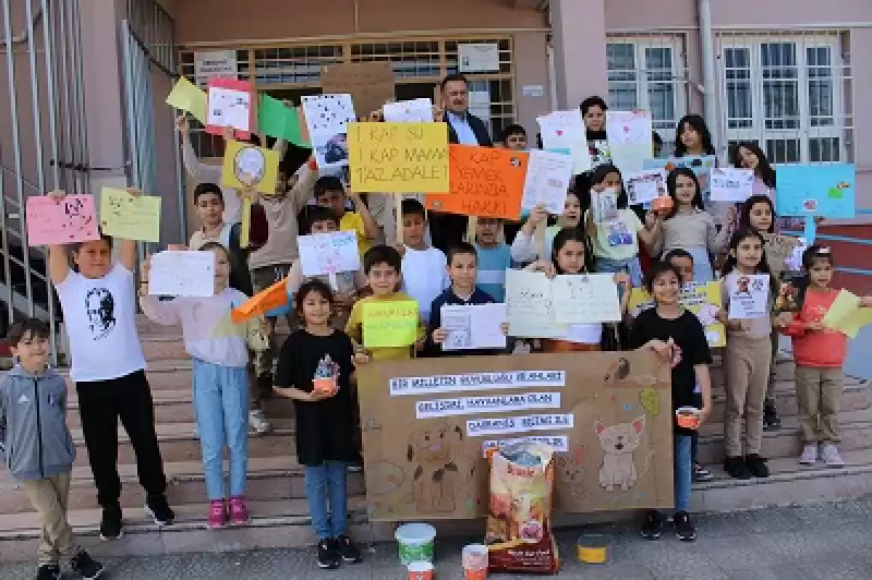 Hataylı öğrencilerden Sahipsiz Hayvanlara Destek 