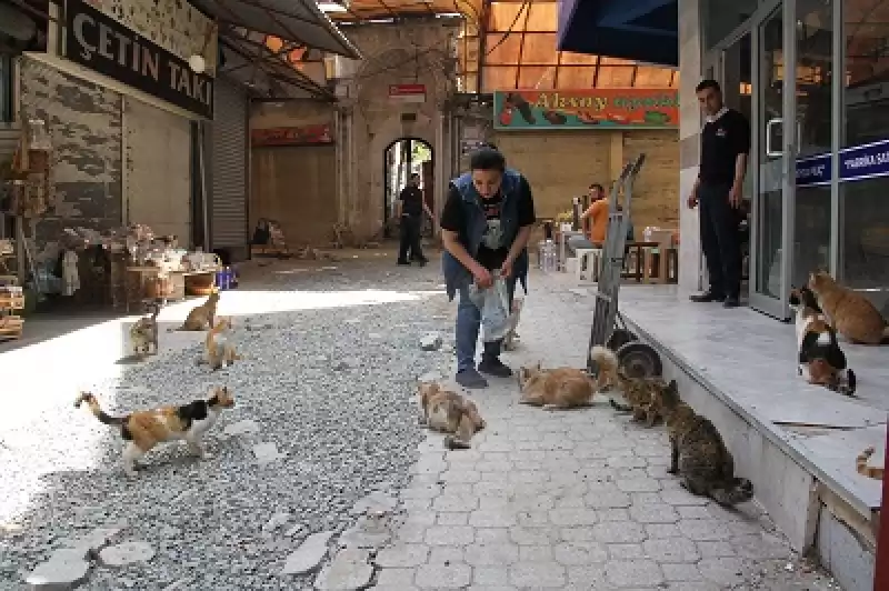 Hatay'da Depremzede Kadın Tarihi çarşıdaki Iş Yerinin önünde Sahipsiz Kedilere Bakıyor