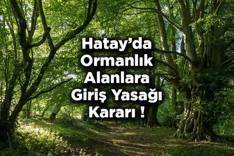 Hatay’da Ormanlara Girişler Yasaklandı