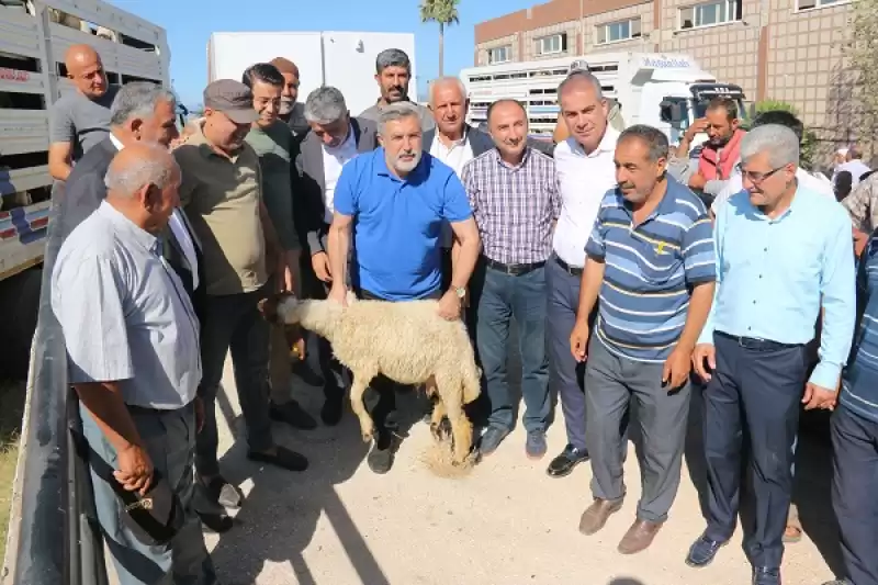 Hatay’da Depremzede Besicilere 1420 Küçükbaş Hayvan Desteği