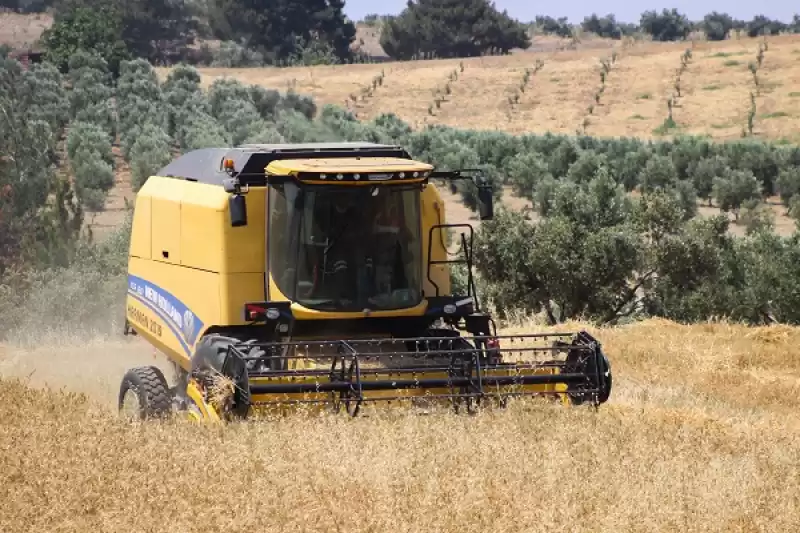 Arsuz'da Buğday Hasadı Devam Ediyor