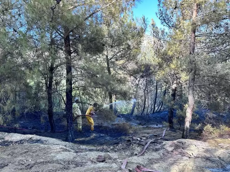 Hatay'da çıkan Orman Yangını Söndürüldü 