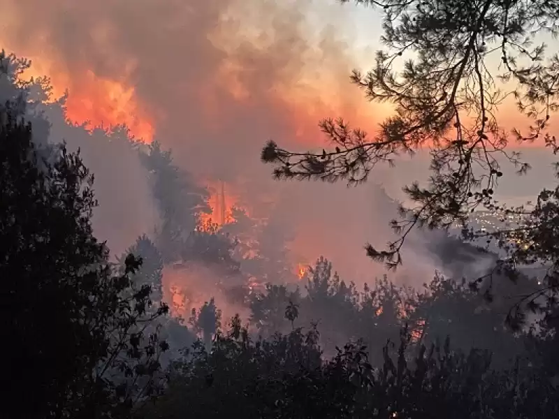 Masatlı Belen'de çıkan Orman Yangınına Ekiplerce Müdahale Ediliyor