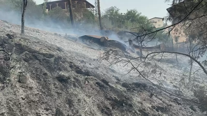 Masatlı Belen'de çıkan Orman Yangınına Ekiplerce Müdahale Ediliyor