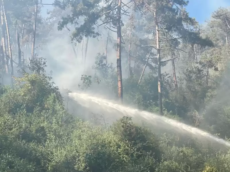 Hatay'ın Belen Ilçesinde Dün çıkan Orman Yangınına Müdahale Sürüyor