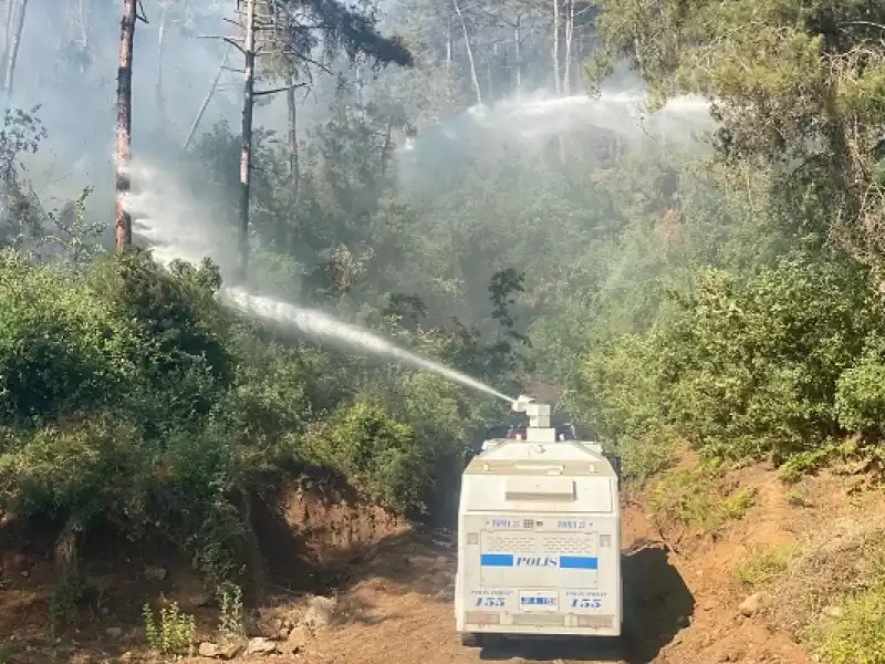 Hatay'ın Belen Ilçesinde Dün çıkan Orman Yangınına Müdahale Sürüyor