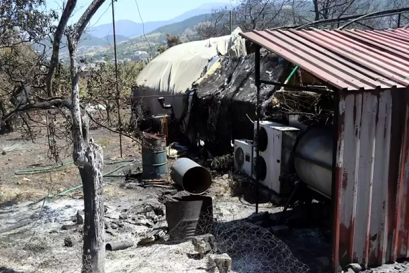 Hatay'da Orman Yangınından Zarar Gören Alanlar Görüntülendi