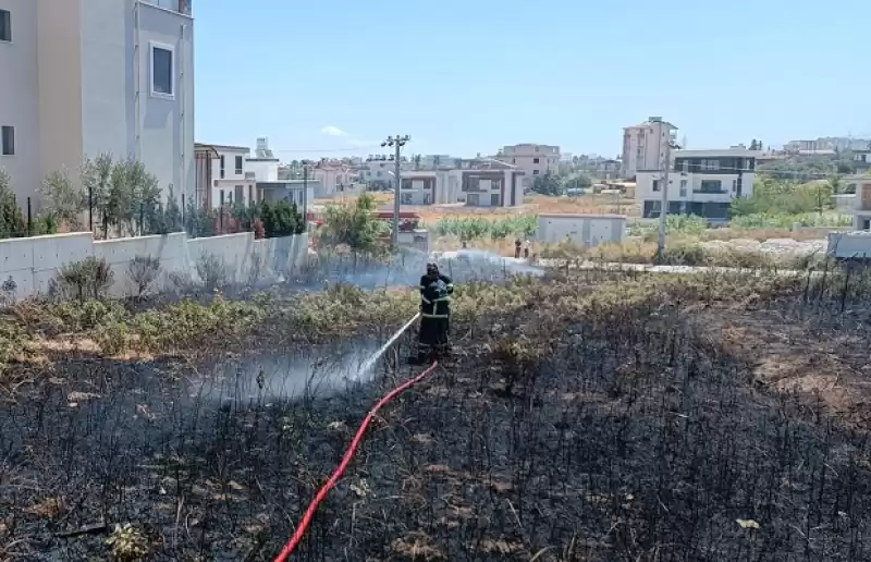 Hatay'da Anız Yangınında Alevlerin Ortasında Kalan Kaplumbağa Kurtarıldı