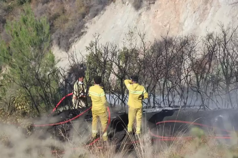 Hatay'da Zeytinlik Ve Ormanlık Alanda çıkan Orman Yangınına Müdahale Ediliyor