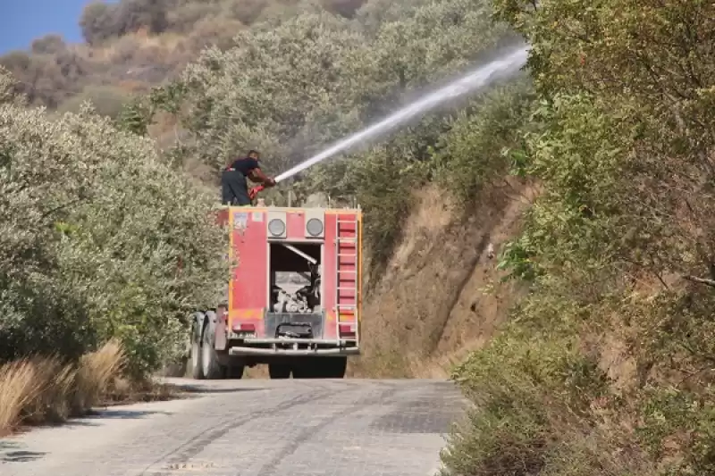  Hatay’da Zeytin Bahçesinde çıkan Yangın Söndürüldü