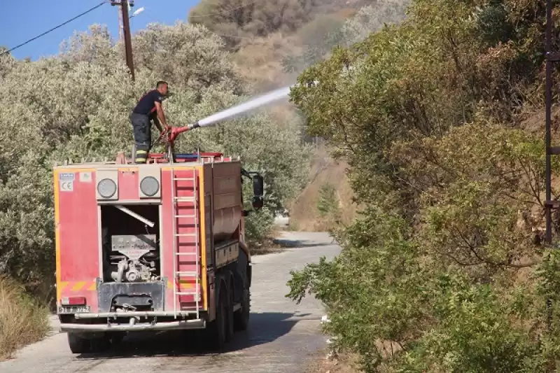  Hatay’da Zeytin Bahçesinde çıkan Yangın Söndürüldü