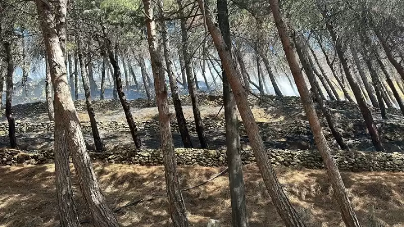 Hatay'da çıkan Orman Yangını Büyümeden Söndürüldü