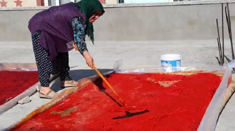 Hatay'ın Ev Yapımı Biber Salçası Bu Yıl Fiyatı Rekor Kırdı