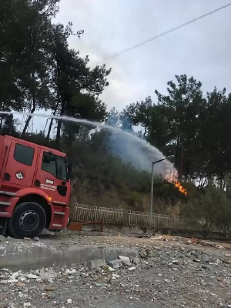 Hatay’da Ağaçlık Alanda çıkan Yangın Söndürüldü