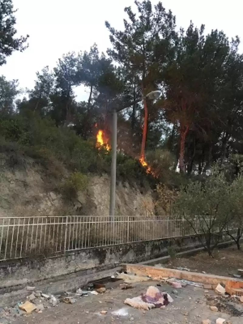 Hatay’da Ağaçlık Alanda çıkan Yangın Söndürüldü