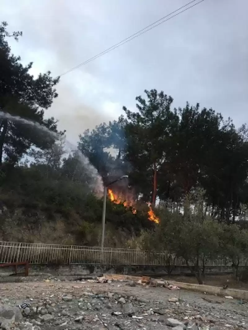 Hatay’da Ağaçlık Alanda çıkan Yangın Söndürüldü