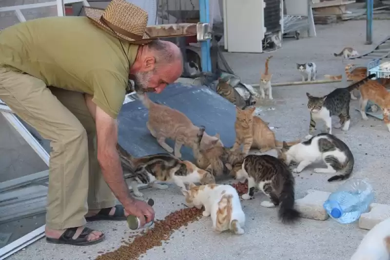 Gönüllüler Depremin Vurduğu Hatay'daki Sahipsiz Hayvanlara Desteğini Sürdürüyor