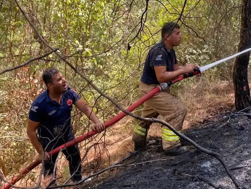 Hatay'da çıkan Orman Yangını Büyümeden Kontrol Altına Alındı