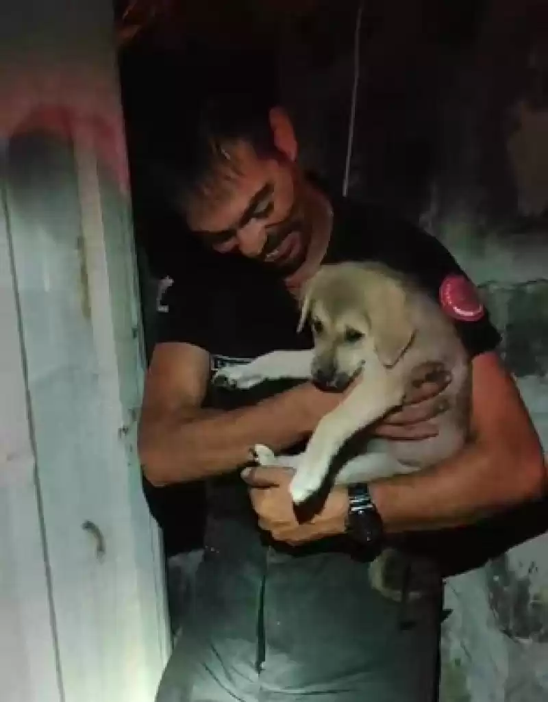 Hatay'da Konteynerle Duvar Arasına Sıkışan Köpek Yavrusu Kurtarıldı