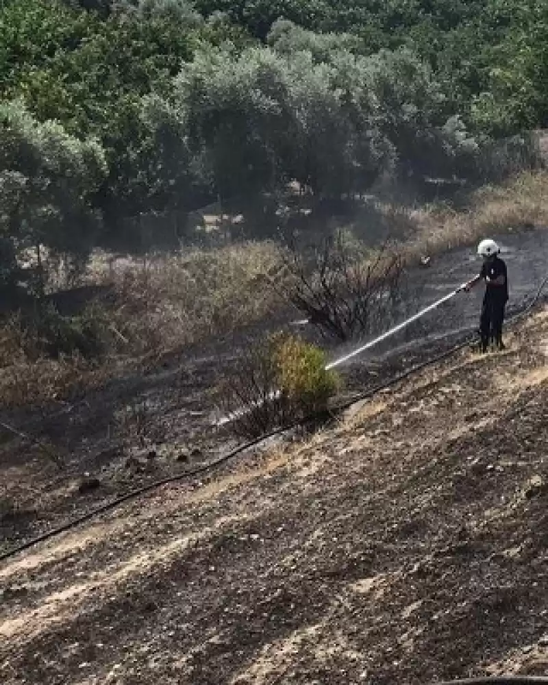 Hatay'da çalılık Alanda çıkan Yangın Söndürüldü