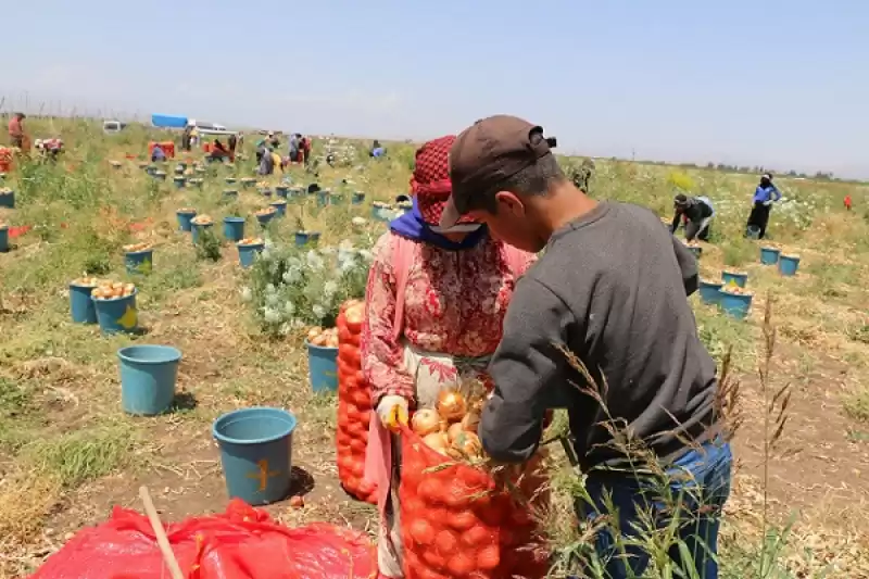 Tarımsal üretim Zafiyete Uğramadı!