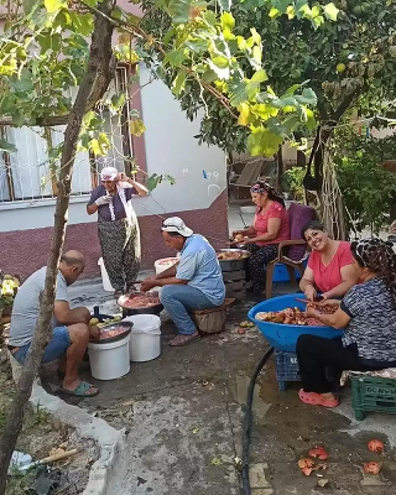 İmece Usulü Nar Ekşisi Zamanı!