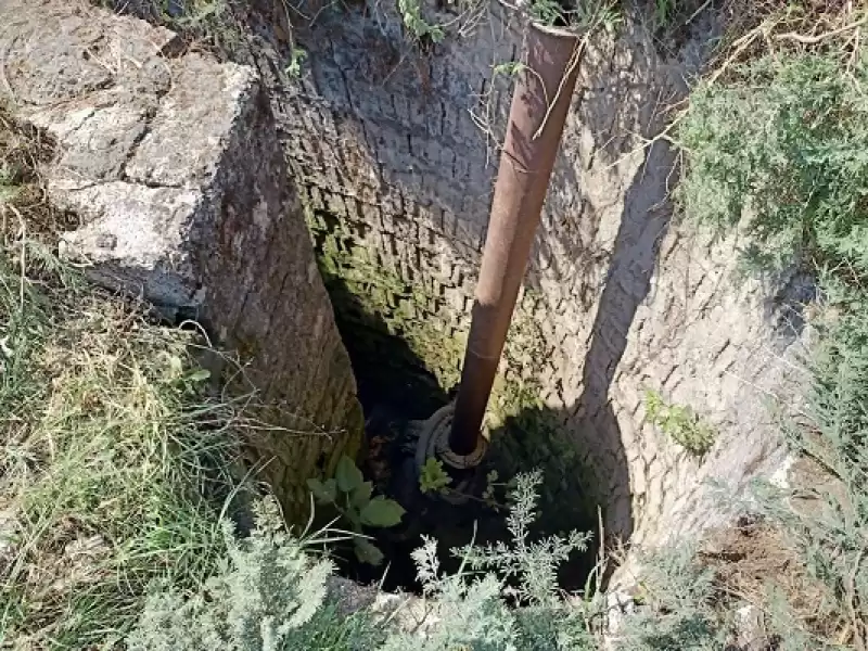 Hatay'da Kuyuya Düşen Buzağıyı Itfaiye Kurtardı