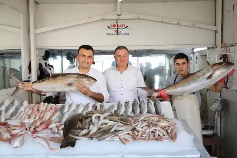 Hataylı Balıkçılar Dertli: Akaryakıt Ve Malzeme Fiyatları Artışı Kazancımızı Eritiyor 