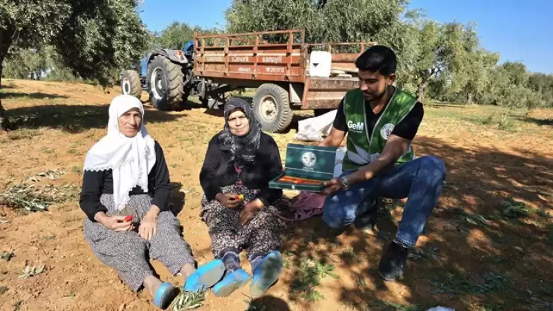 Zeytin Hasadı Yapan çiftçilere Tatlı Ikramı