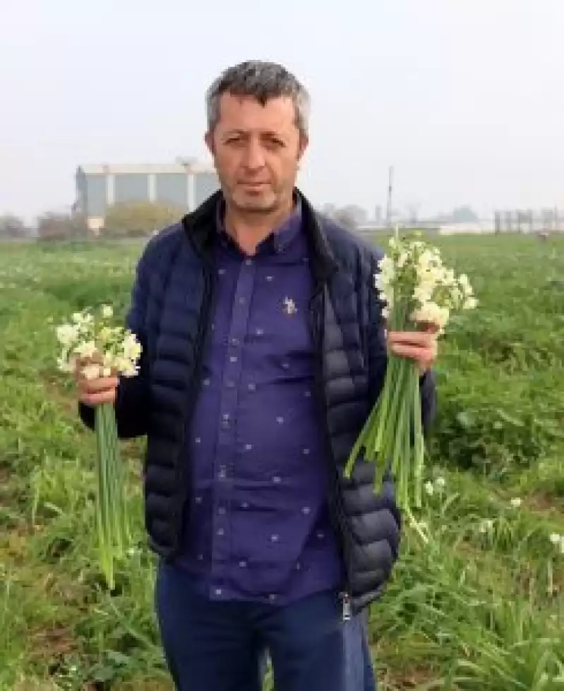 Depremzede şehri, Nergis Kokuları Sardı