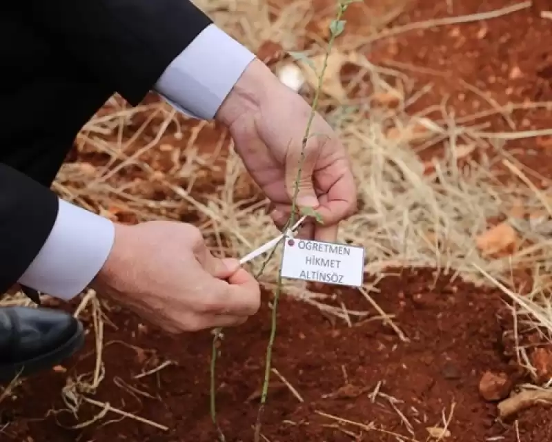 Depremde Hayatını Kaybeden öğretmenler Için Fidan Dikildi