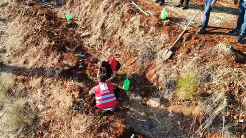 Kızılay Depremde Hayatını Kaybeden öğretmenlerin Anısına Fidan Dikti