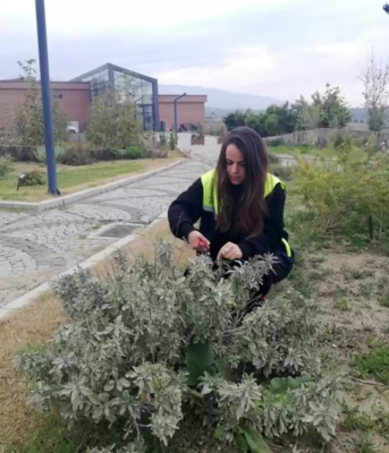 Kayıkçı: Hatay Adaçayına Bir An önce Coğrafik Işareti Alınmalı