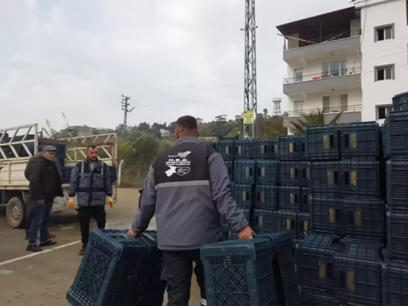 Zeytin üreticilerine Sandık Dağıtımı Yapıldı